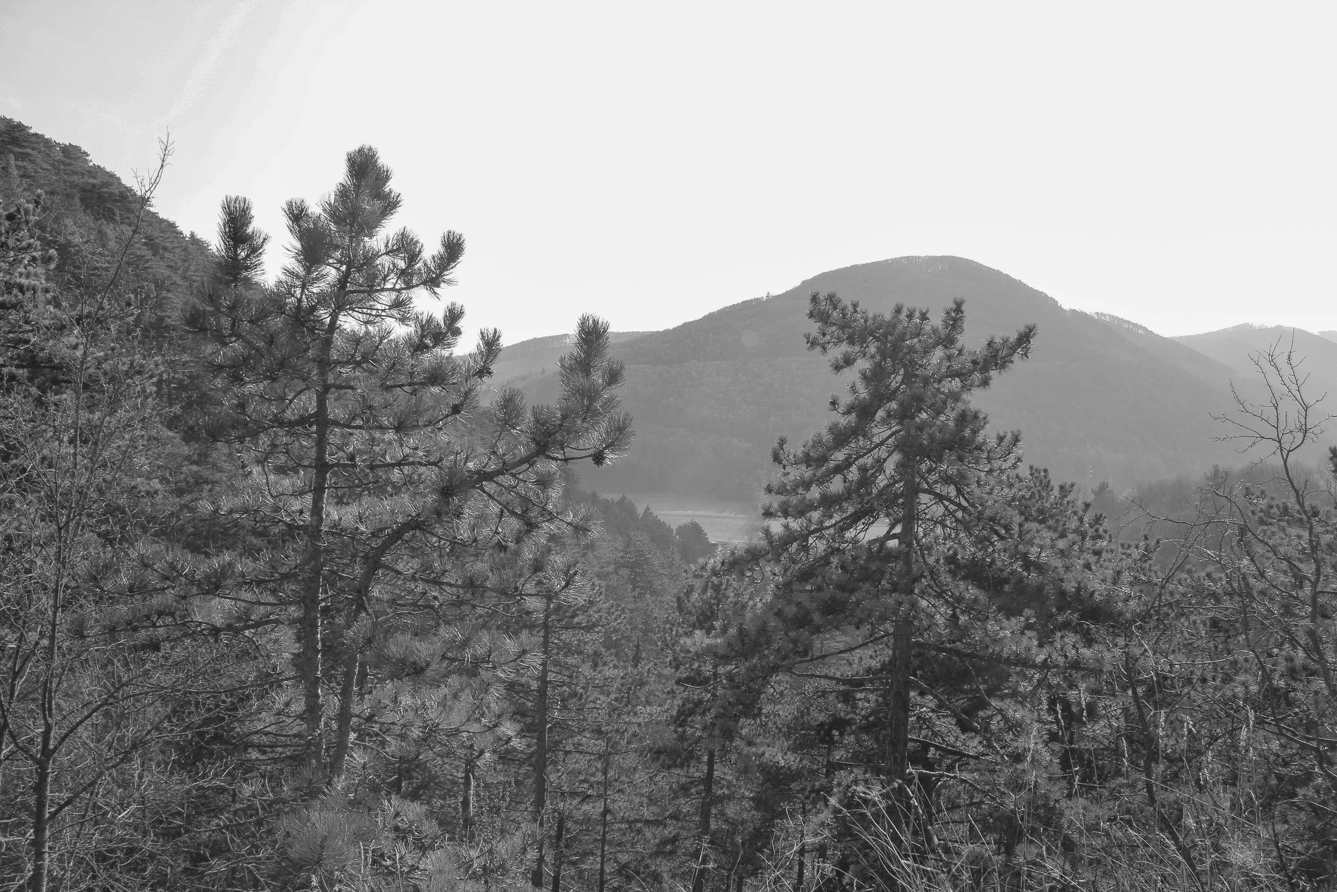Blick in das Triestingtal vom Hafnerberg, Wikimedia Commons/KarlGruber 